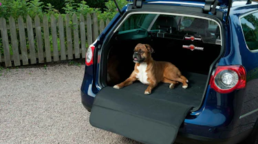 Boot Buddy Boot Liners