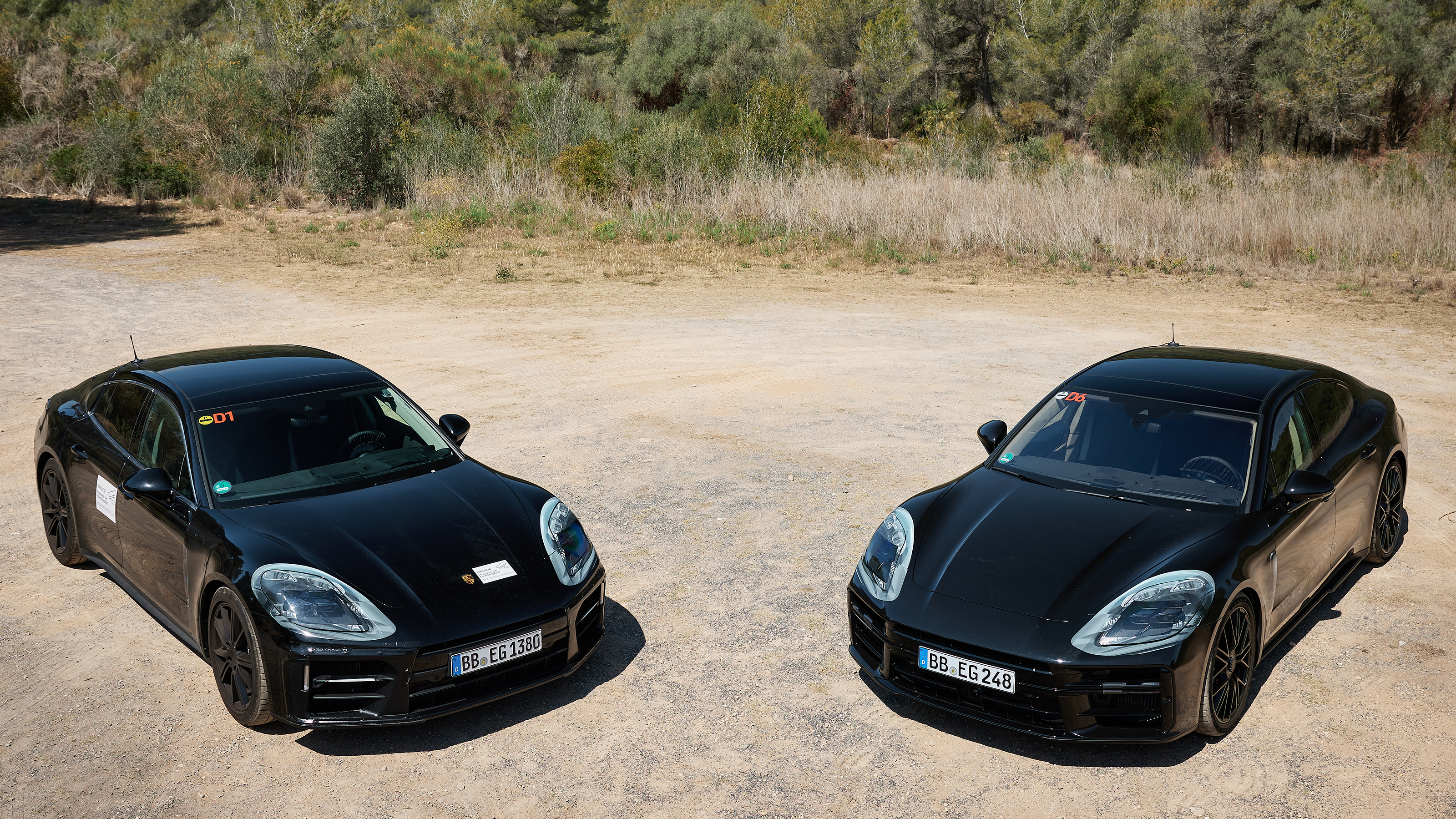 2024 Porsche Panamera - group static