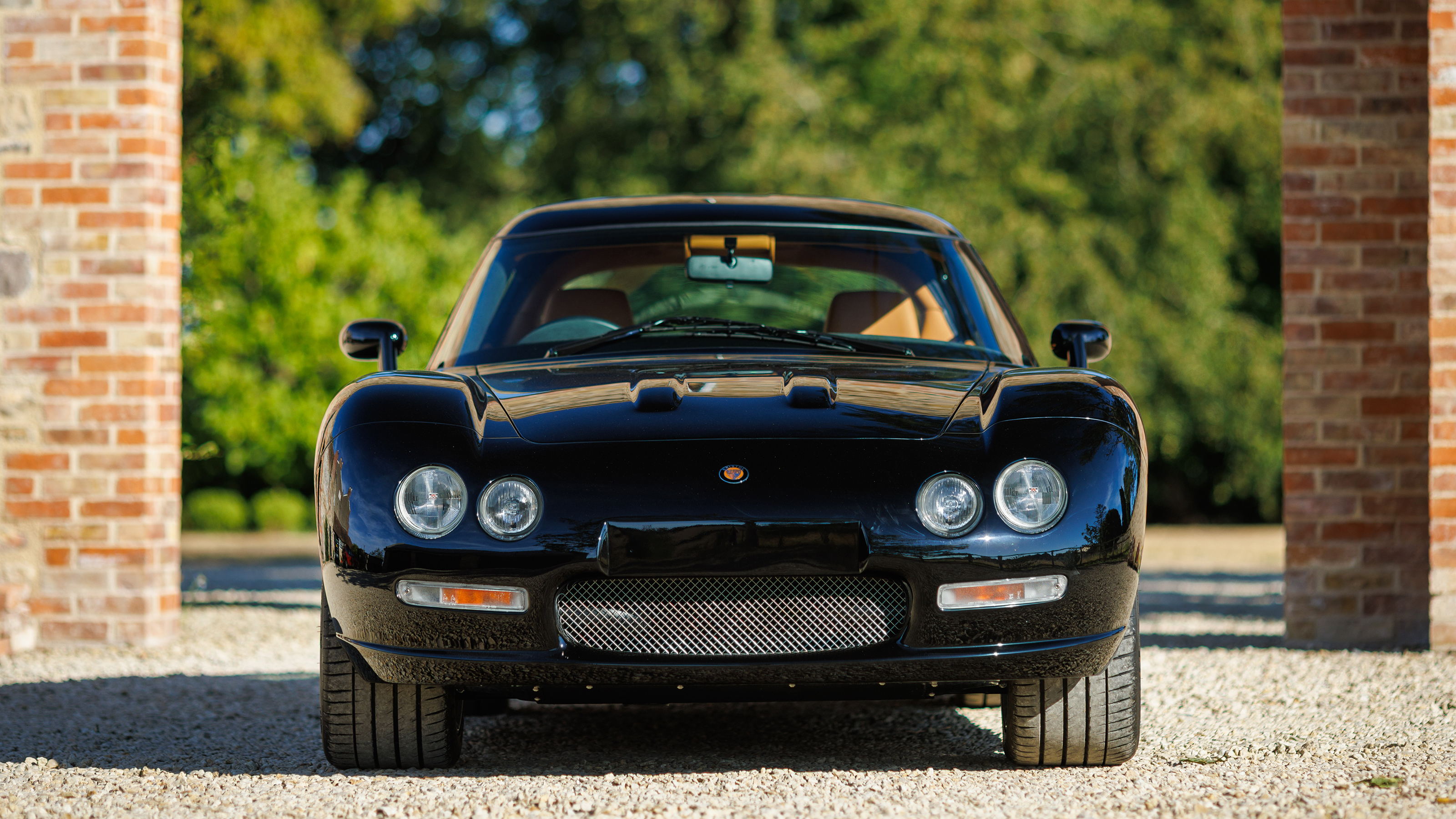 Bristol Fighter - front static