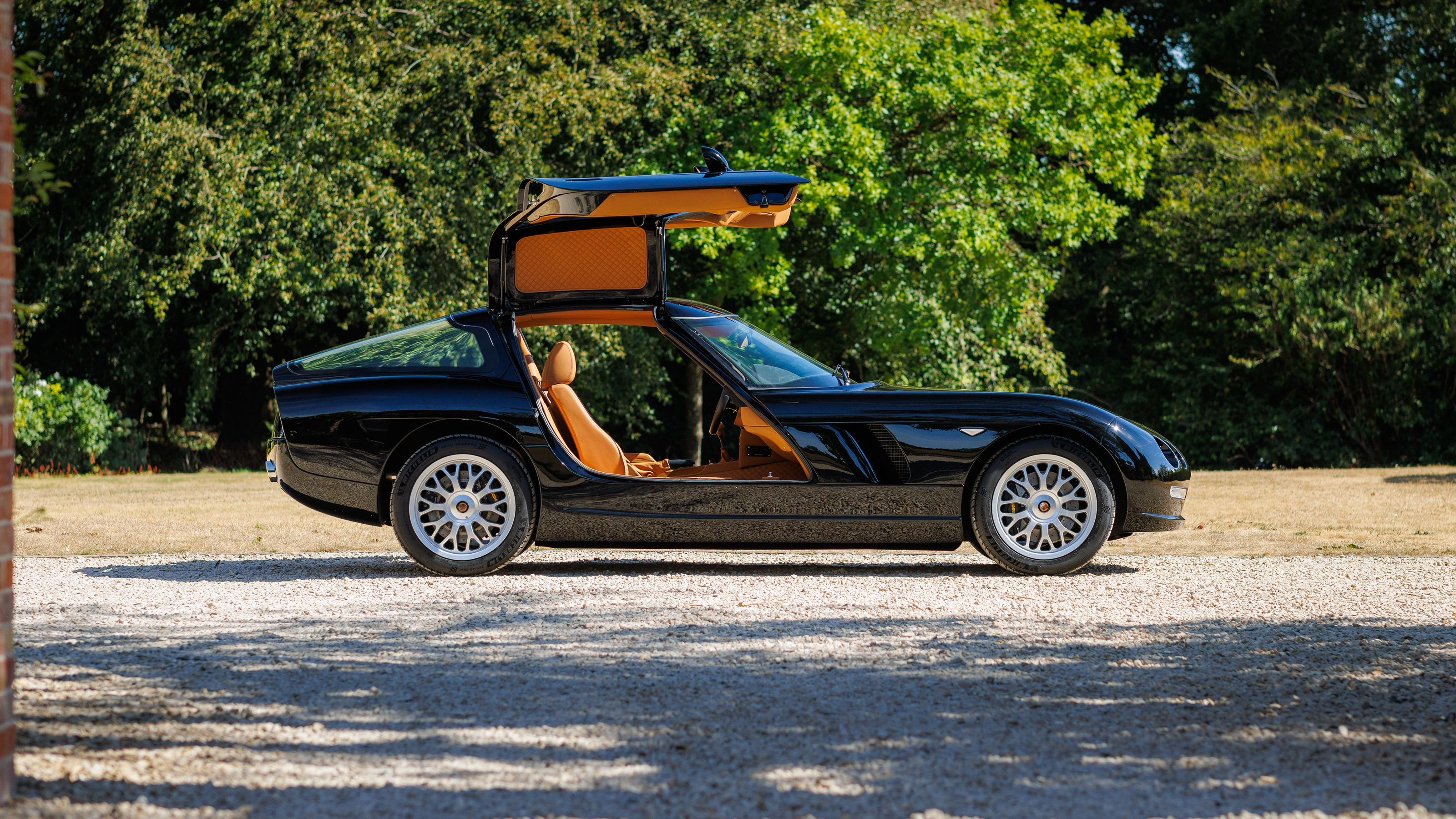 Bristol Fighter - side static (doors open)