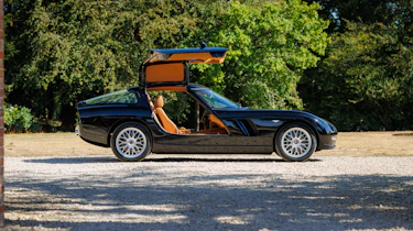 Bristol Fighter - side static (doors open)