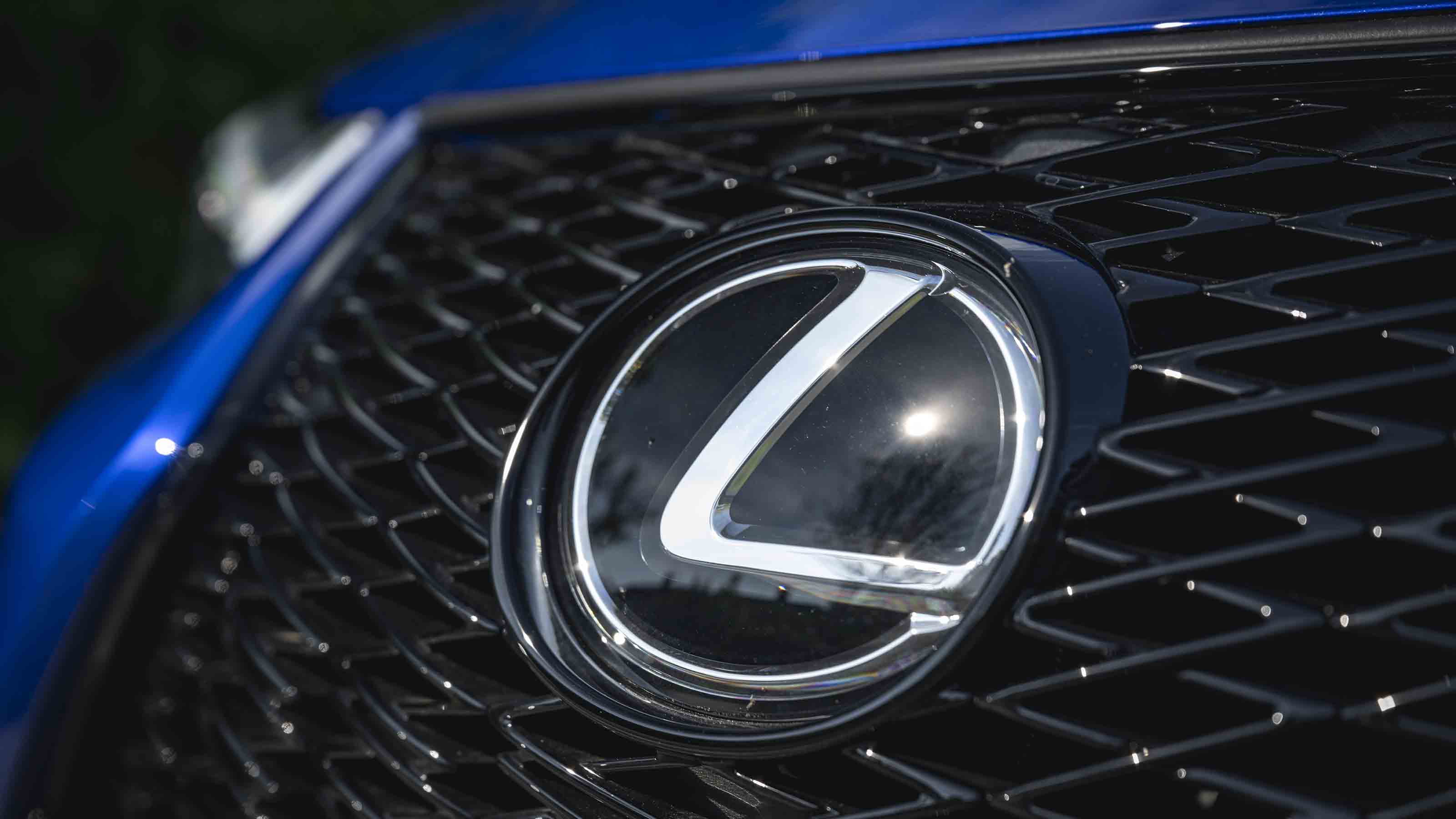 Lexus UX 300h - Lexus badge detail