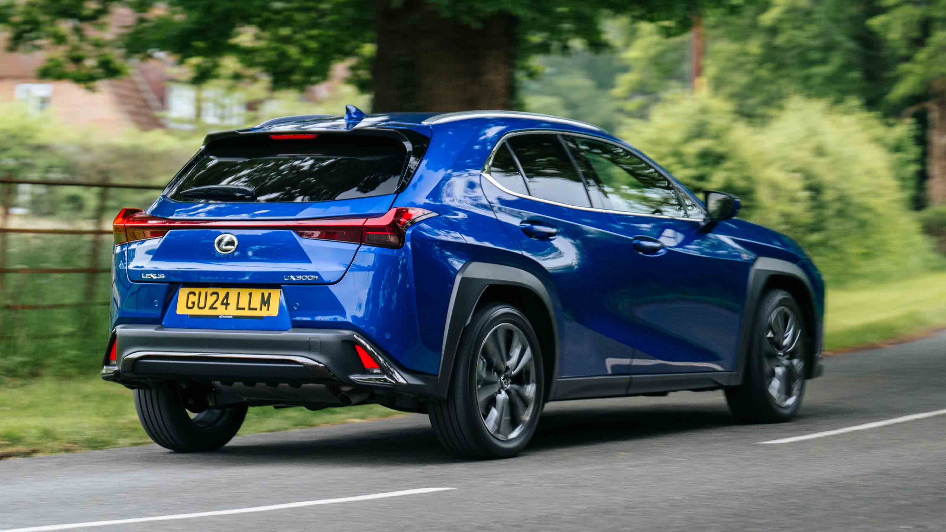 Lexus UX 300h - rear corner