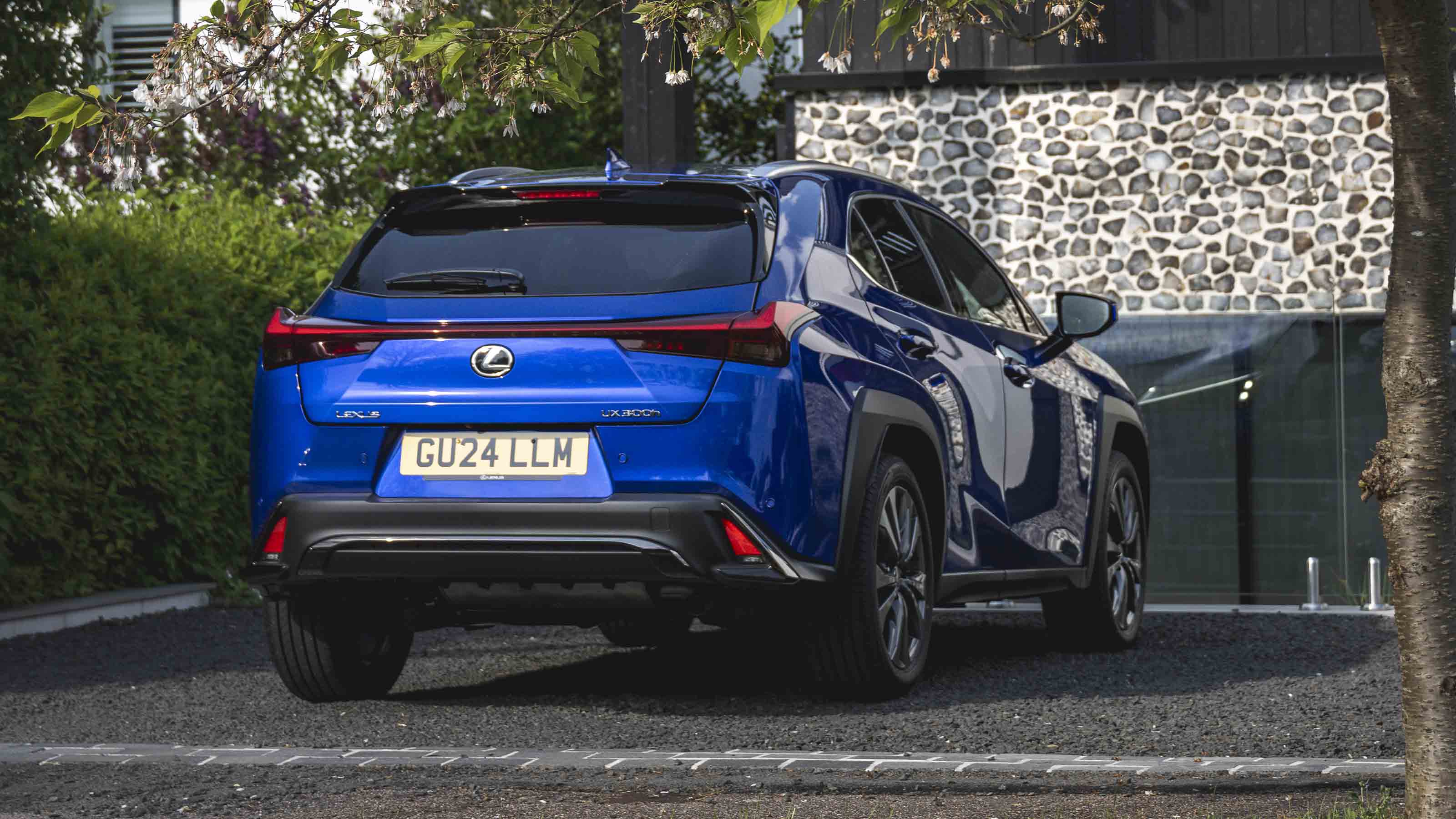 Lexus UX 300h - rear static