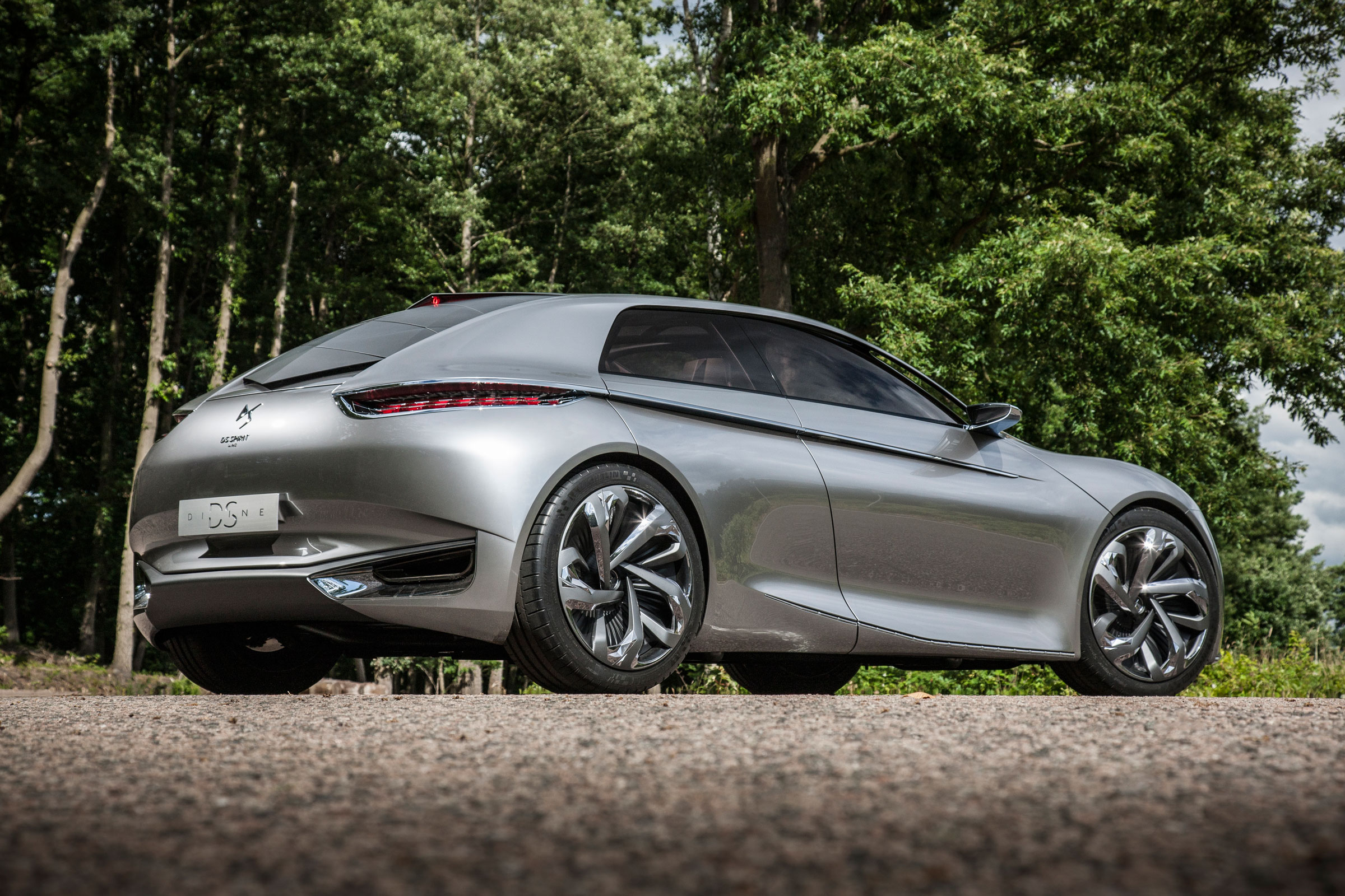 DS Divine concept - rear static