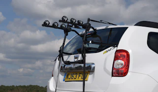 Buzz Rack Beetle