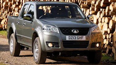 Great Wall Steed