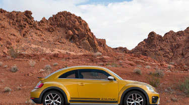 VW Beetle Dune side