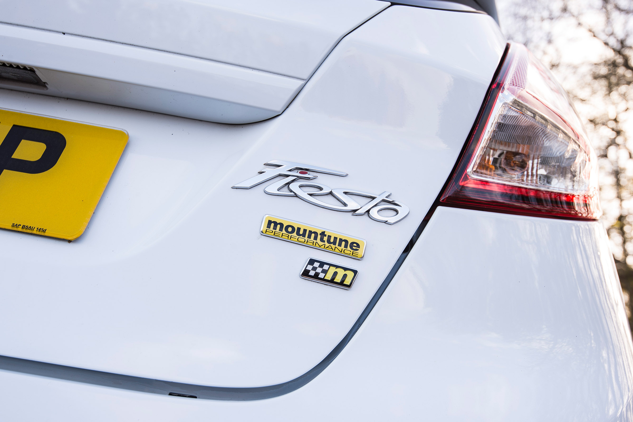Ford Fiesta 1.0 Mountune - detail