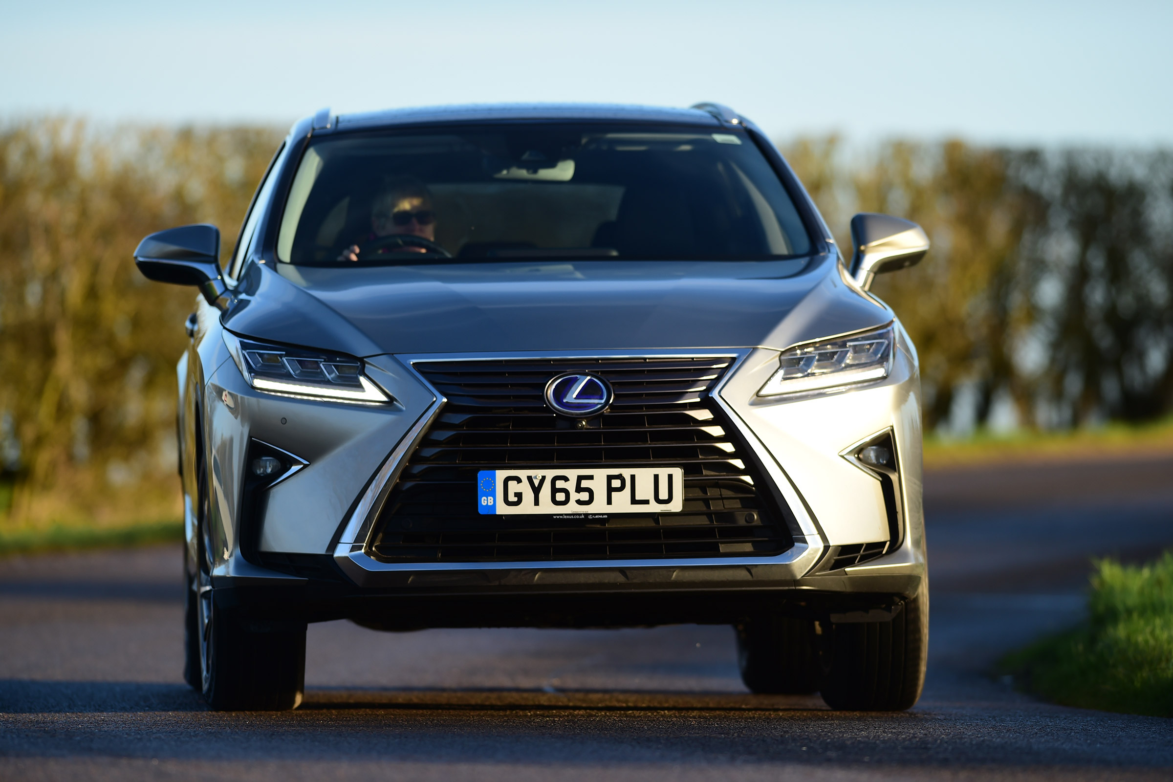 Lexus RX - front driving