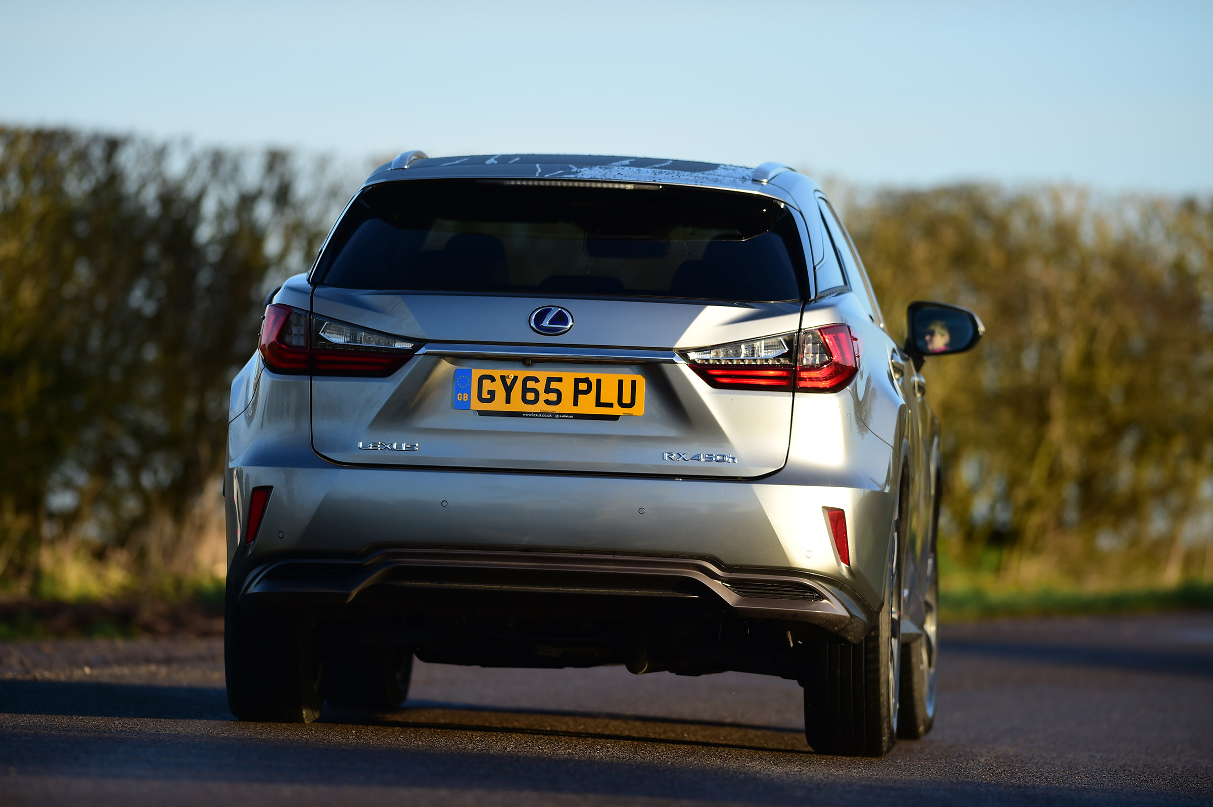 Lexus RX - rear driving