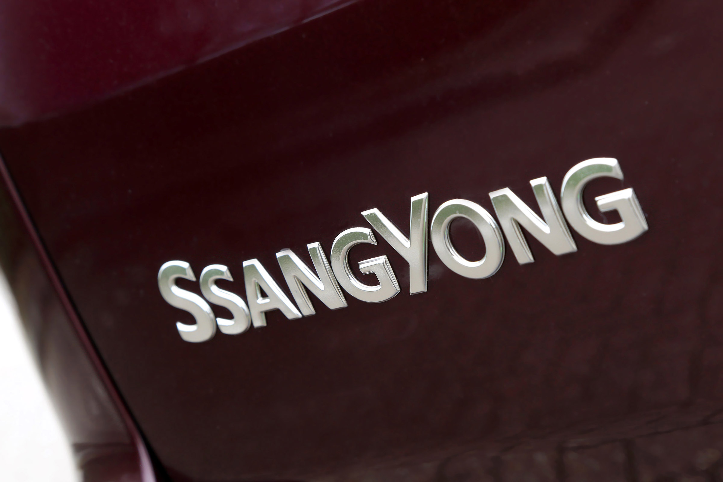 SsangYong Turismo - SsangYong badge