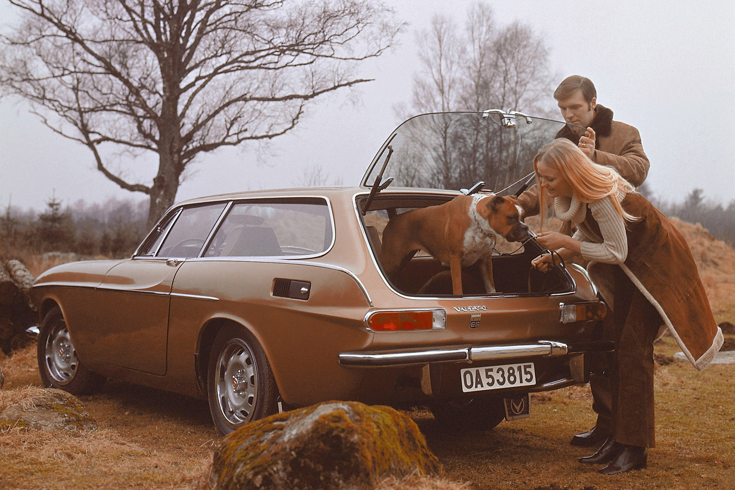 Volvo Estates - 1800 ES