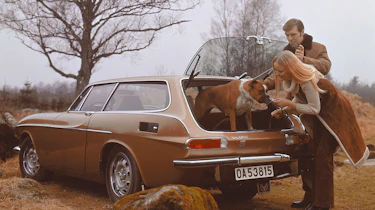 Volvo Estates - 1800 ES