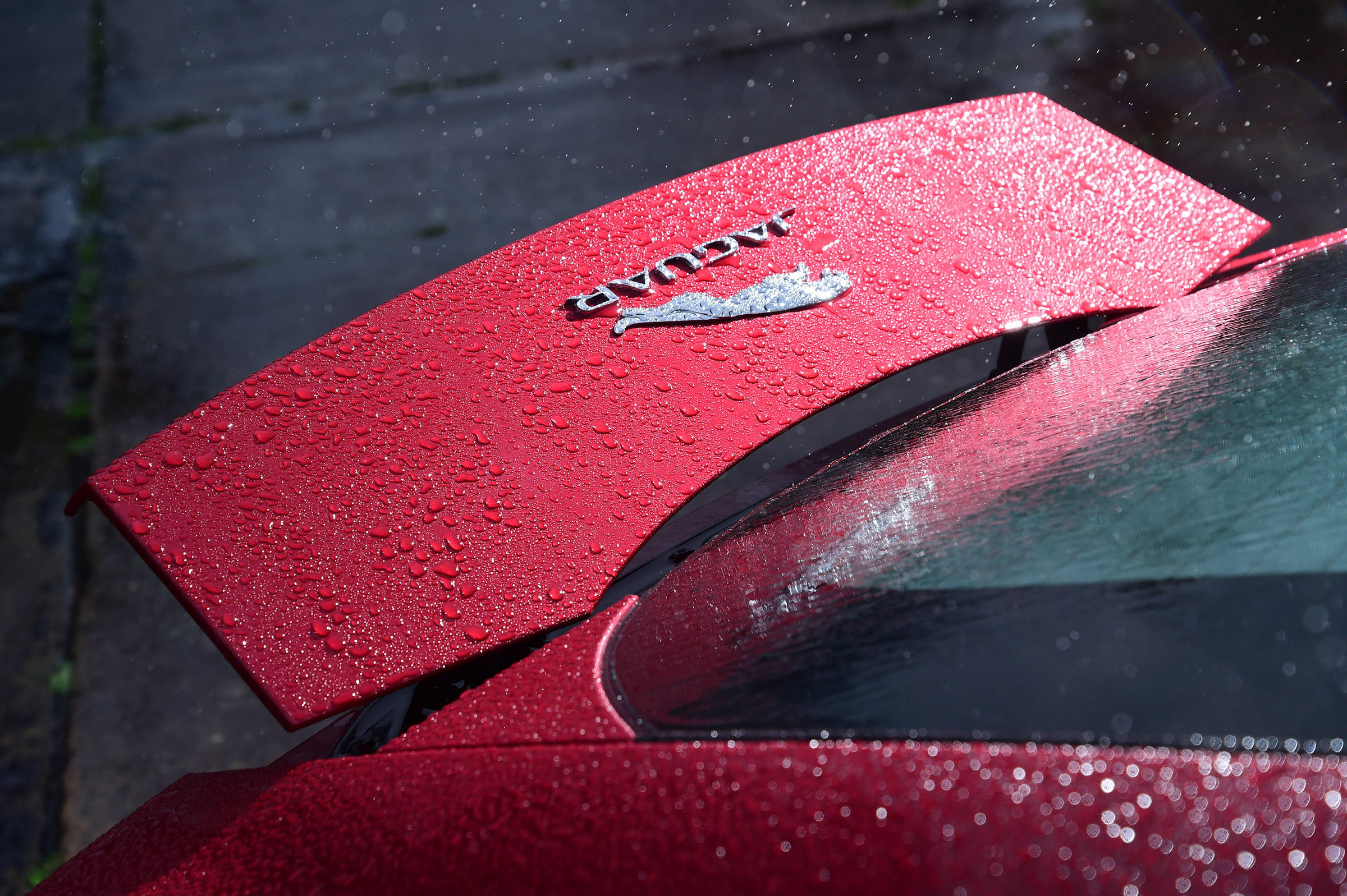 Jaguar F-Type R - rear detail