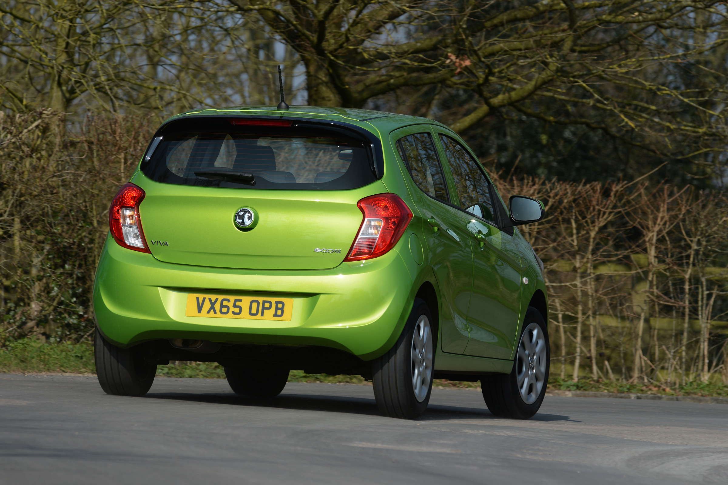 Vauxhall Viva ecoFLEX 2016 - rear cornering