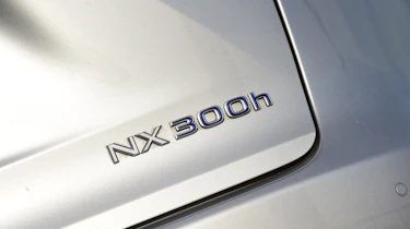 Lexus NX long-termer - badge