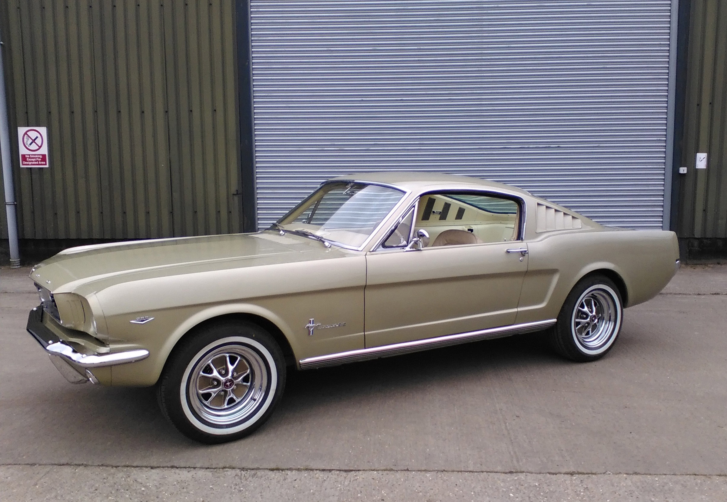 Ford Mustang Fastback (Mk1) - front