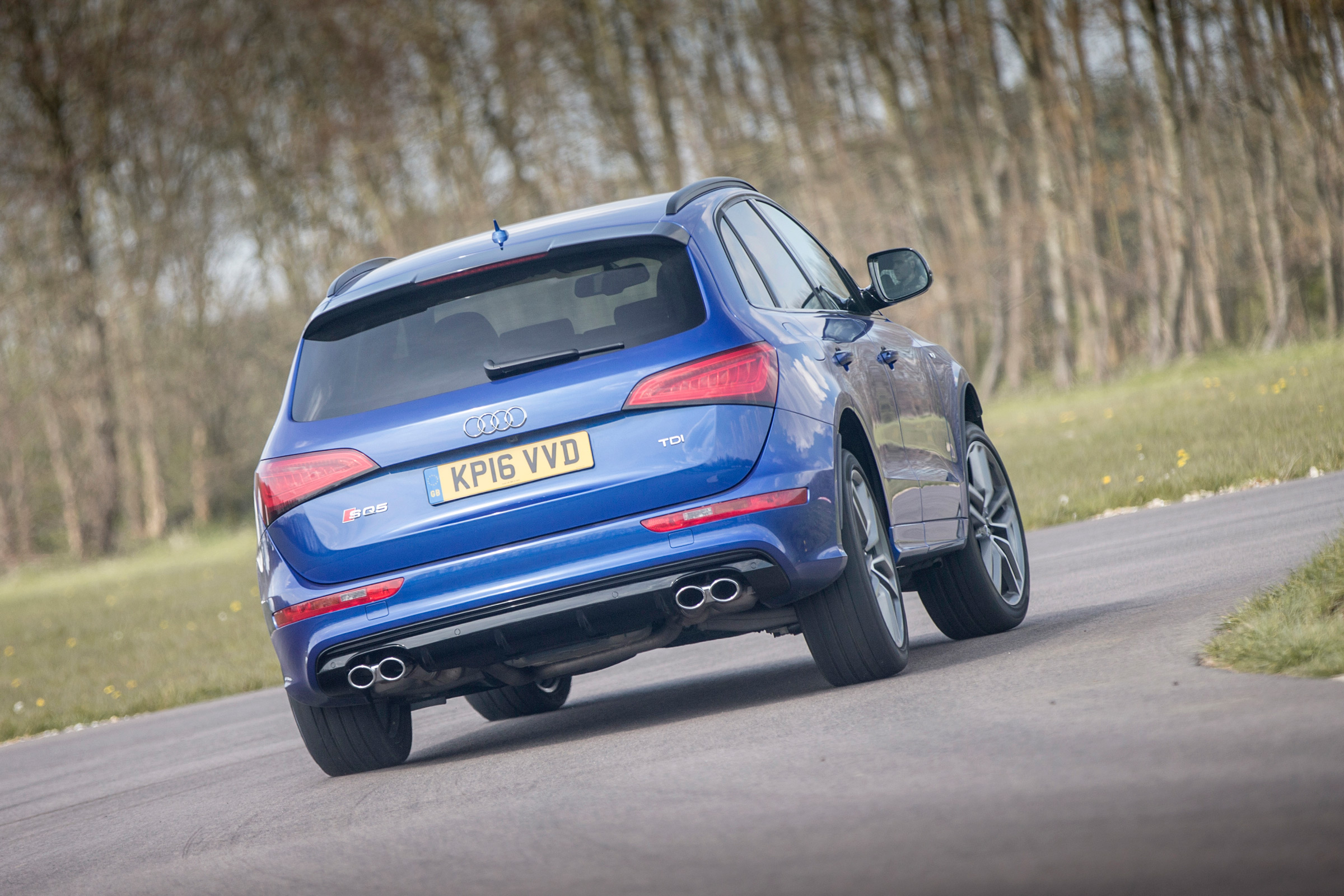 Audi SQ5 Plus 2016 - rear cornering
