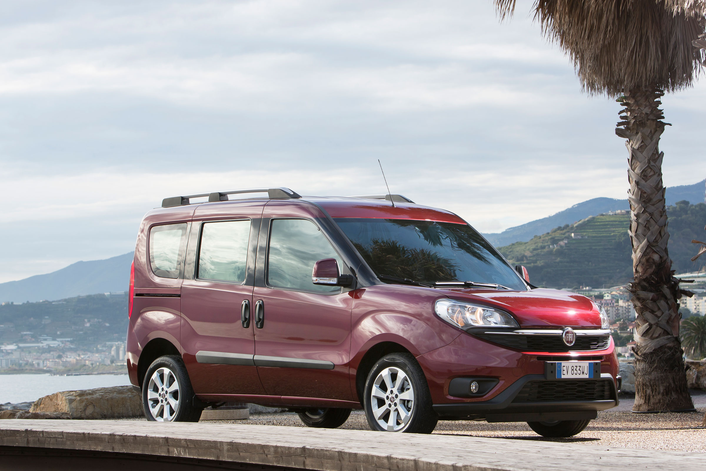Fiat Doblo  - side static
