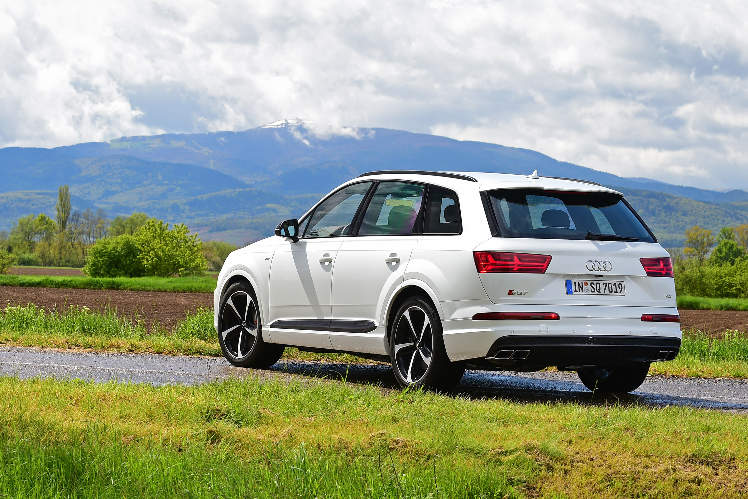 Audi SQ7 - rear white static