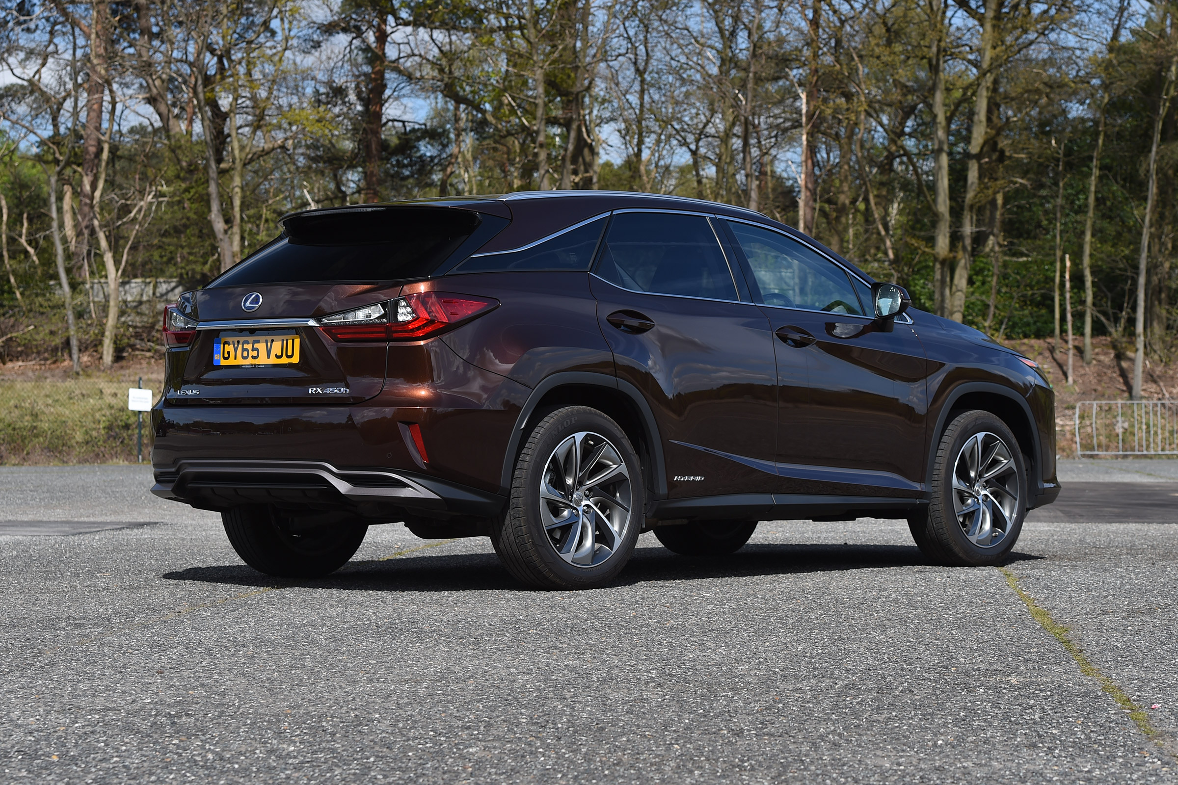 Lexus RX - rear static