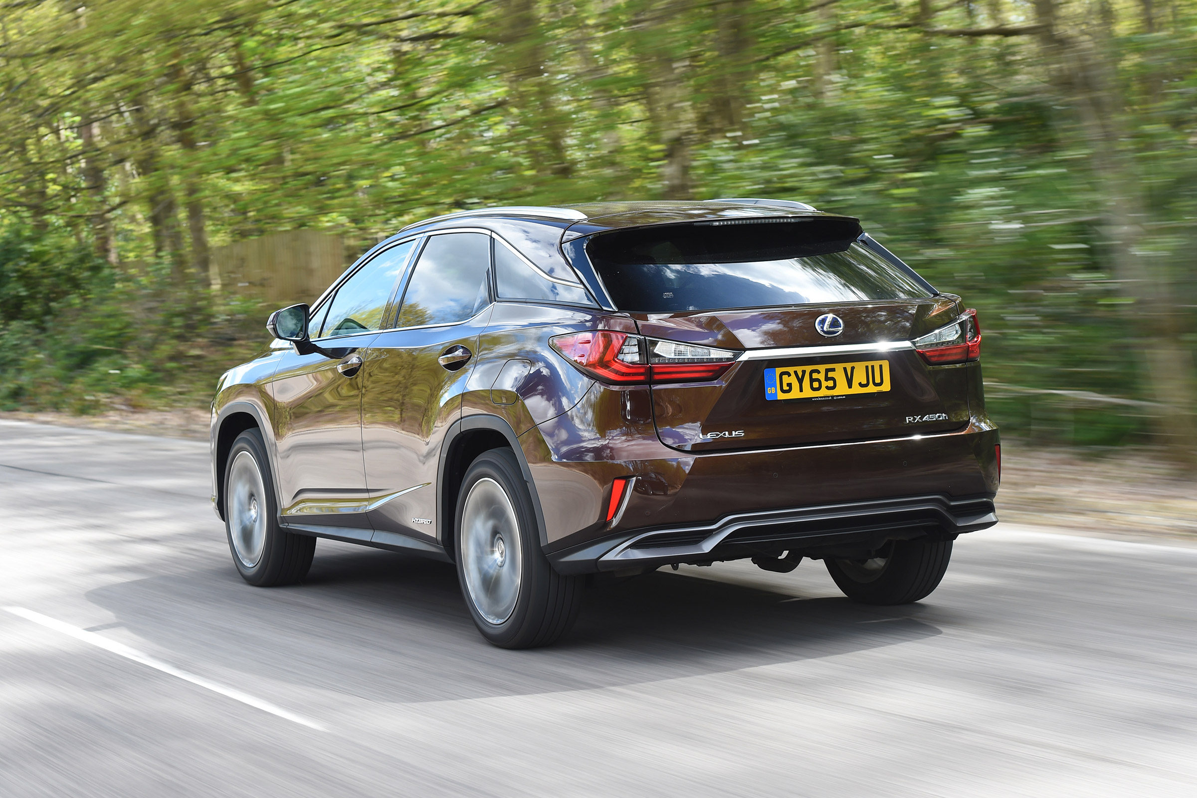 Lexus RX - rear