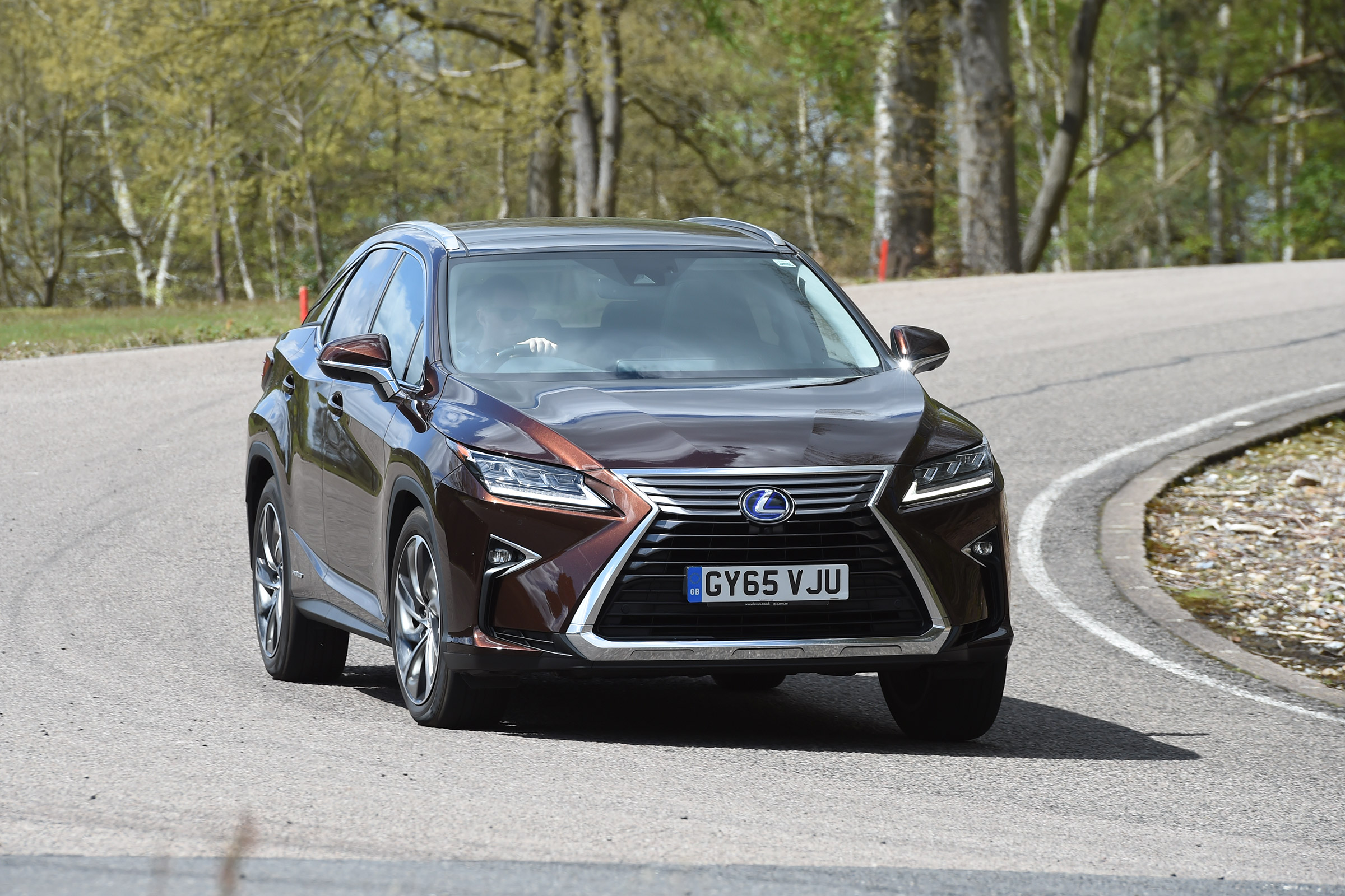 Lexus RX - front cornering