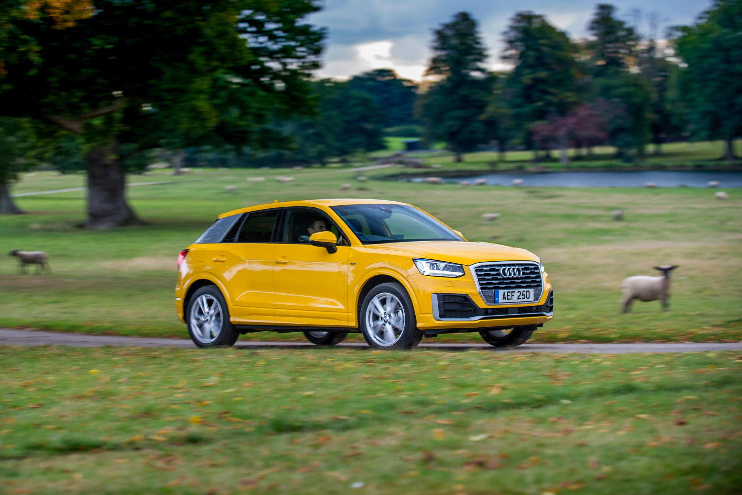 Audi Q2 1.4 TFSI - front action