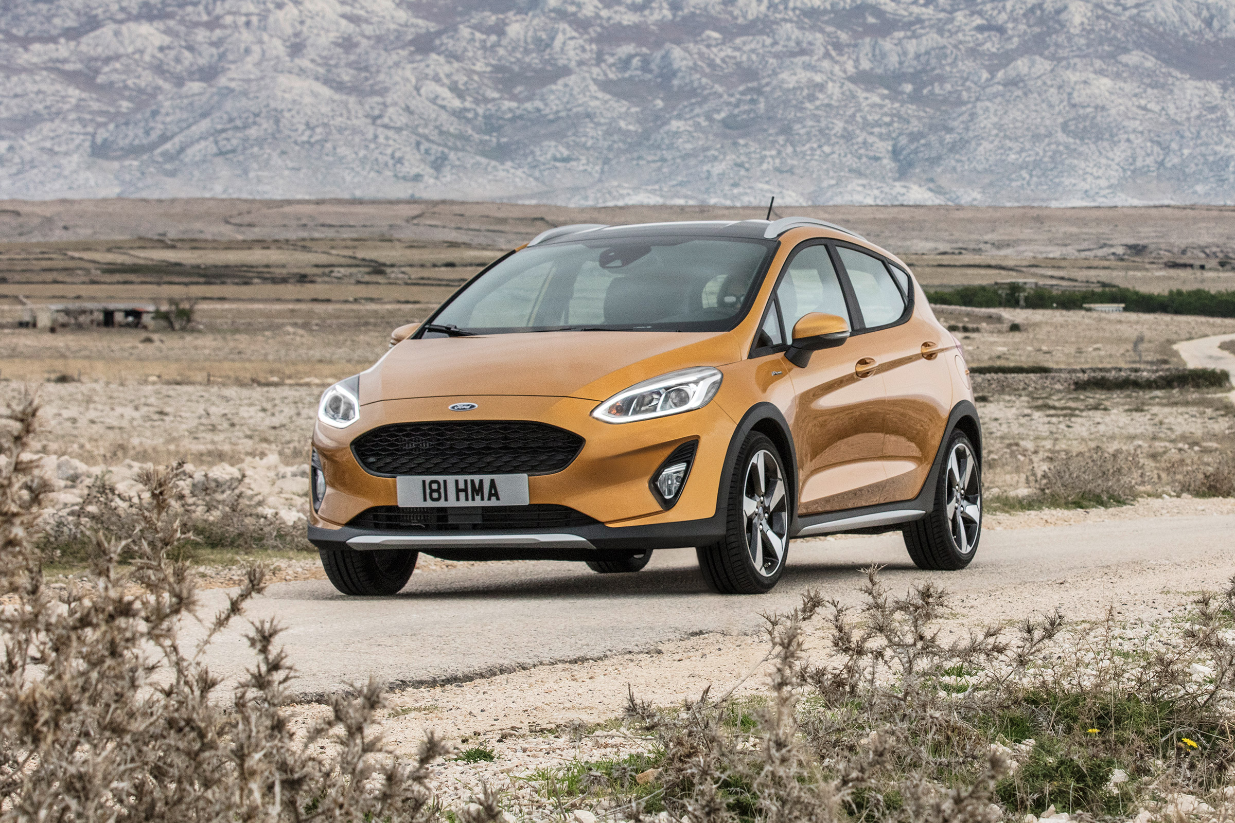 New 2017 Ford Fiesta Active - action