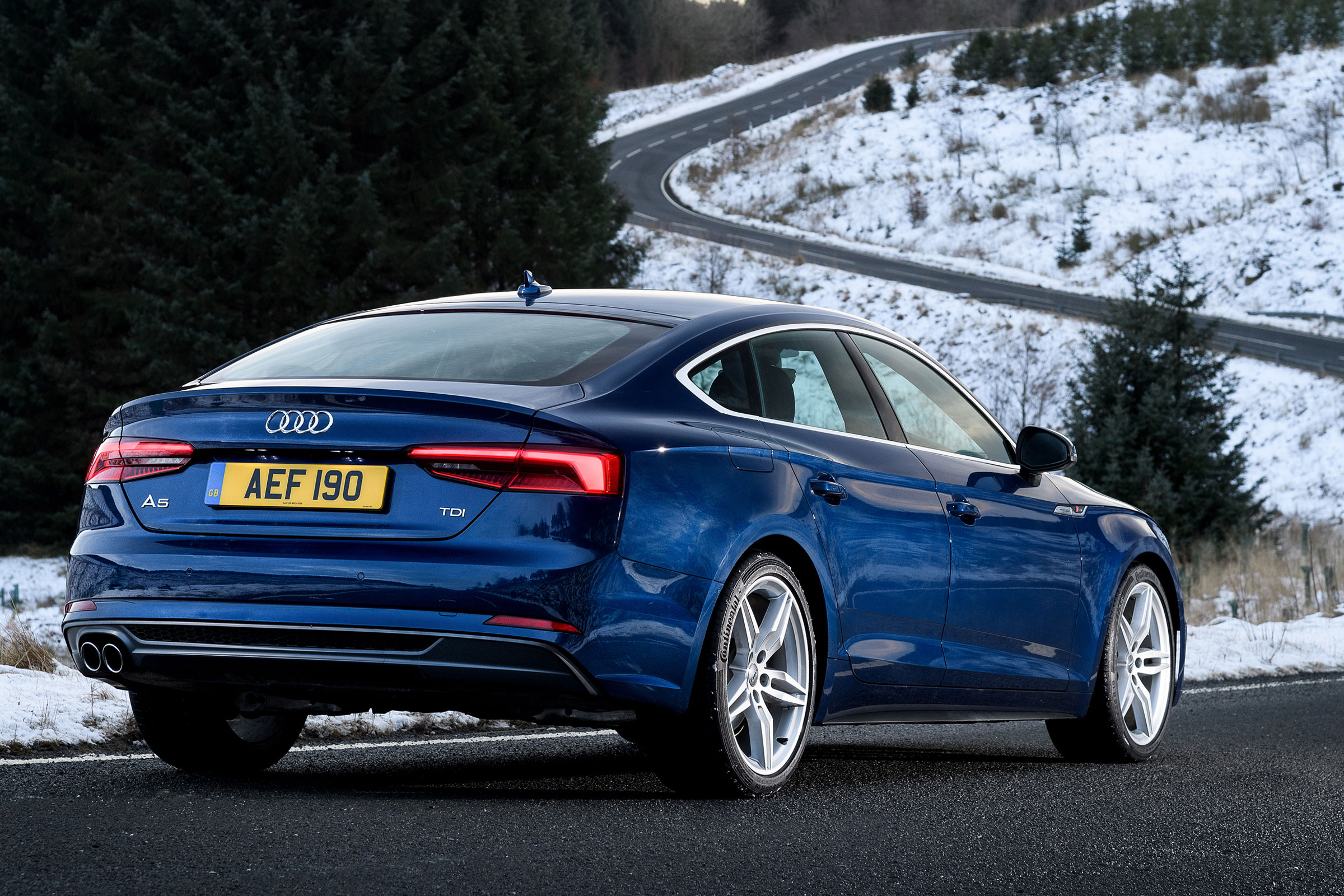 Audi A5 Sportback - rear static