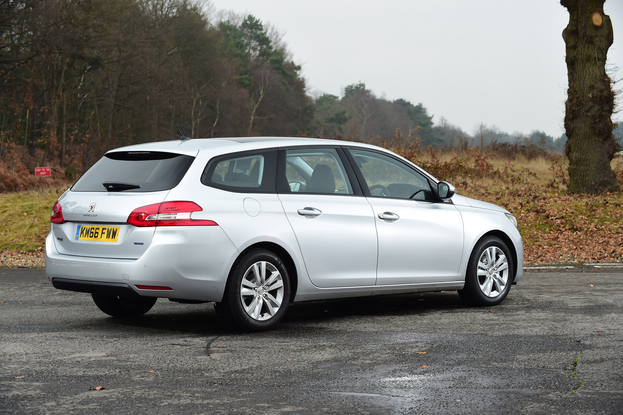Peugeot 308 SW - rear static