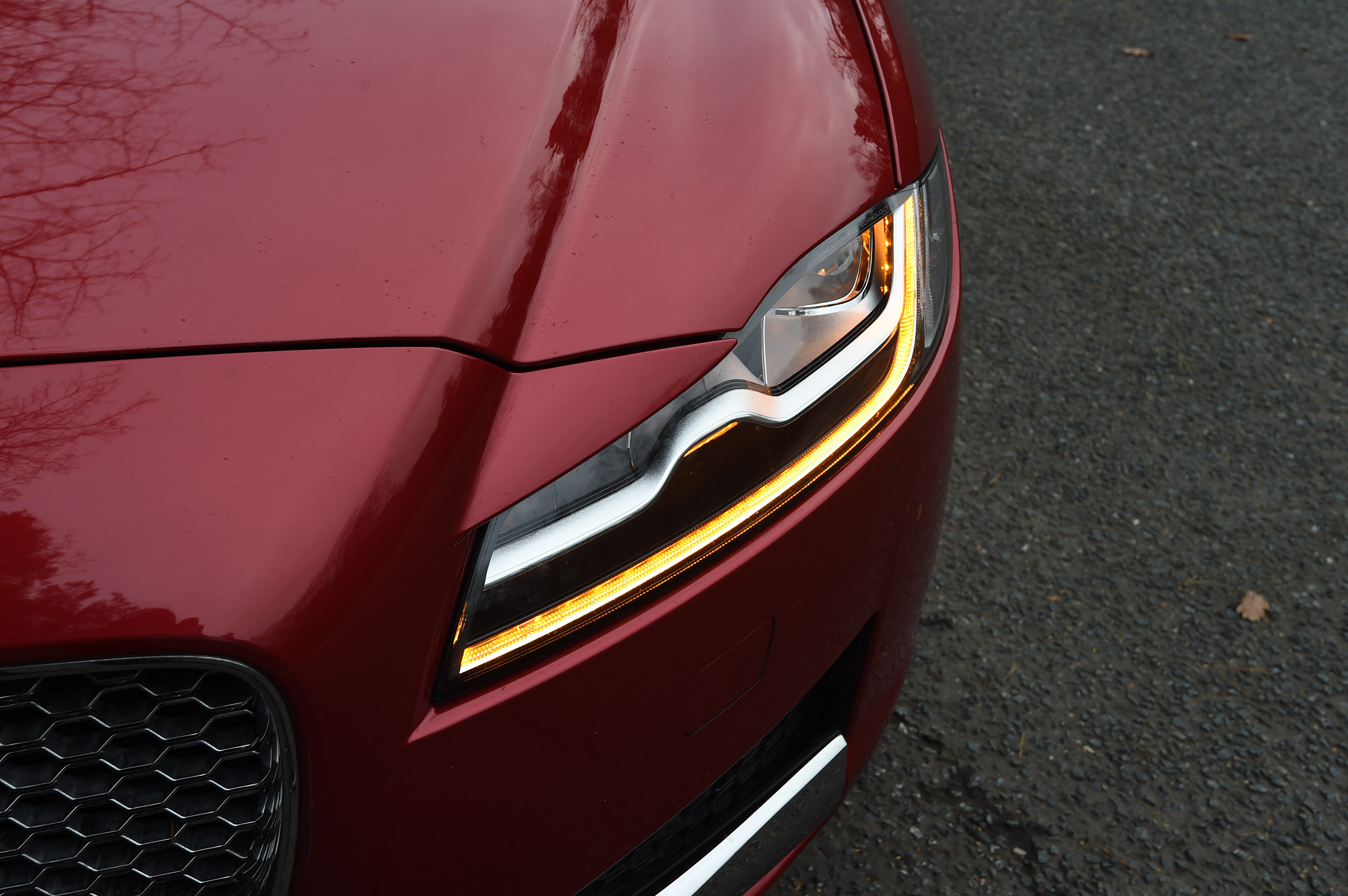 Jaguar XF long term - second report front light detail
