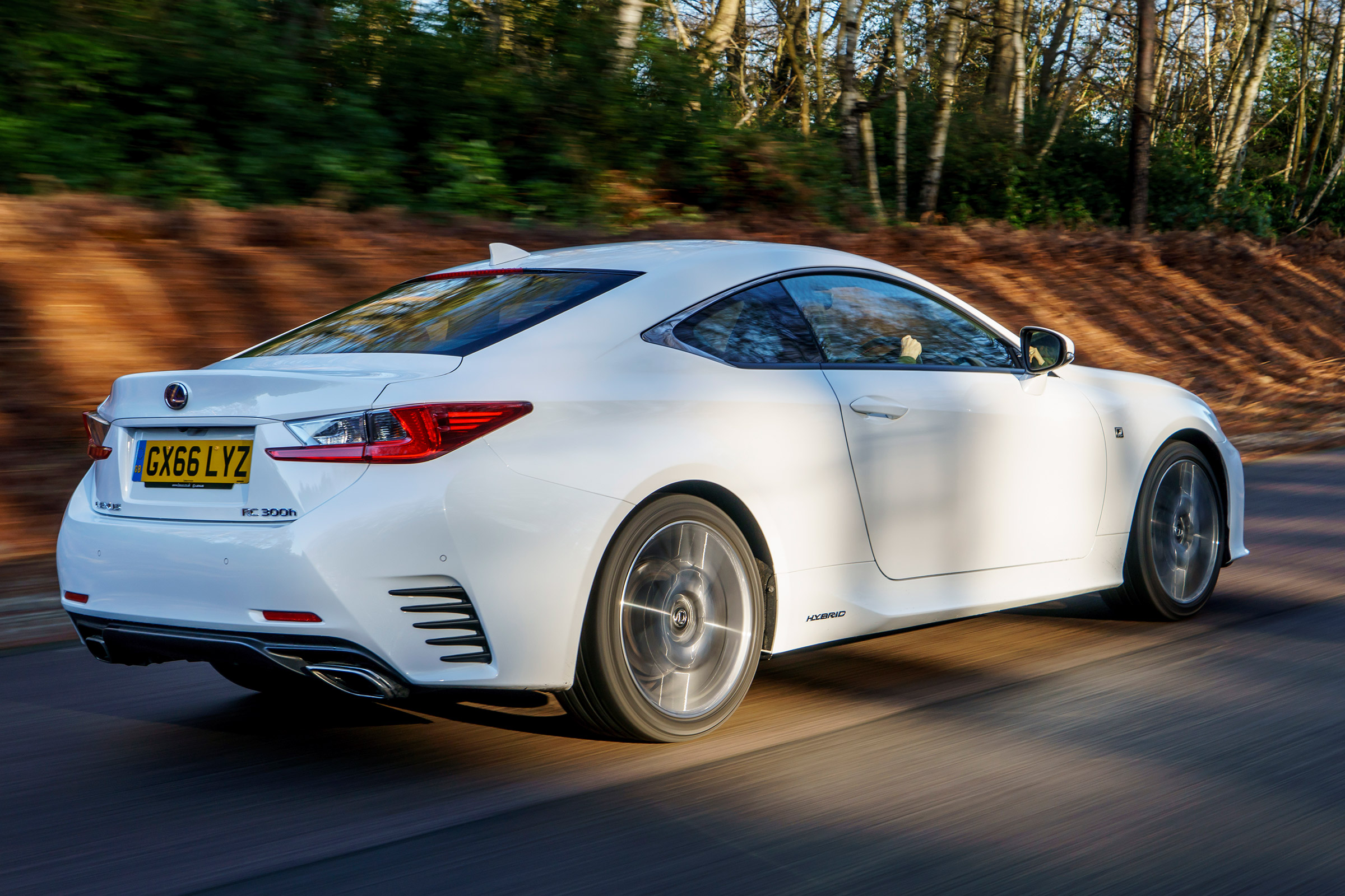 Lexus RC - rear