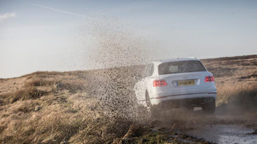 Bentley Bentayga Diesel - Ice white 2017 off-road rear