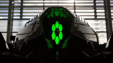 Dendrobium teaser - rear