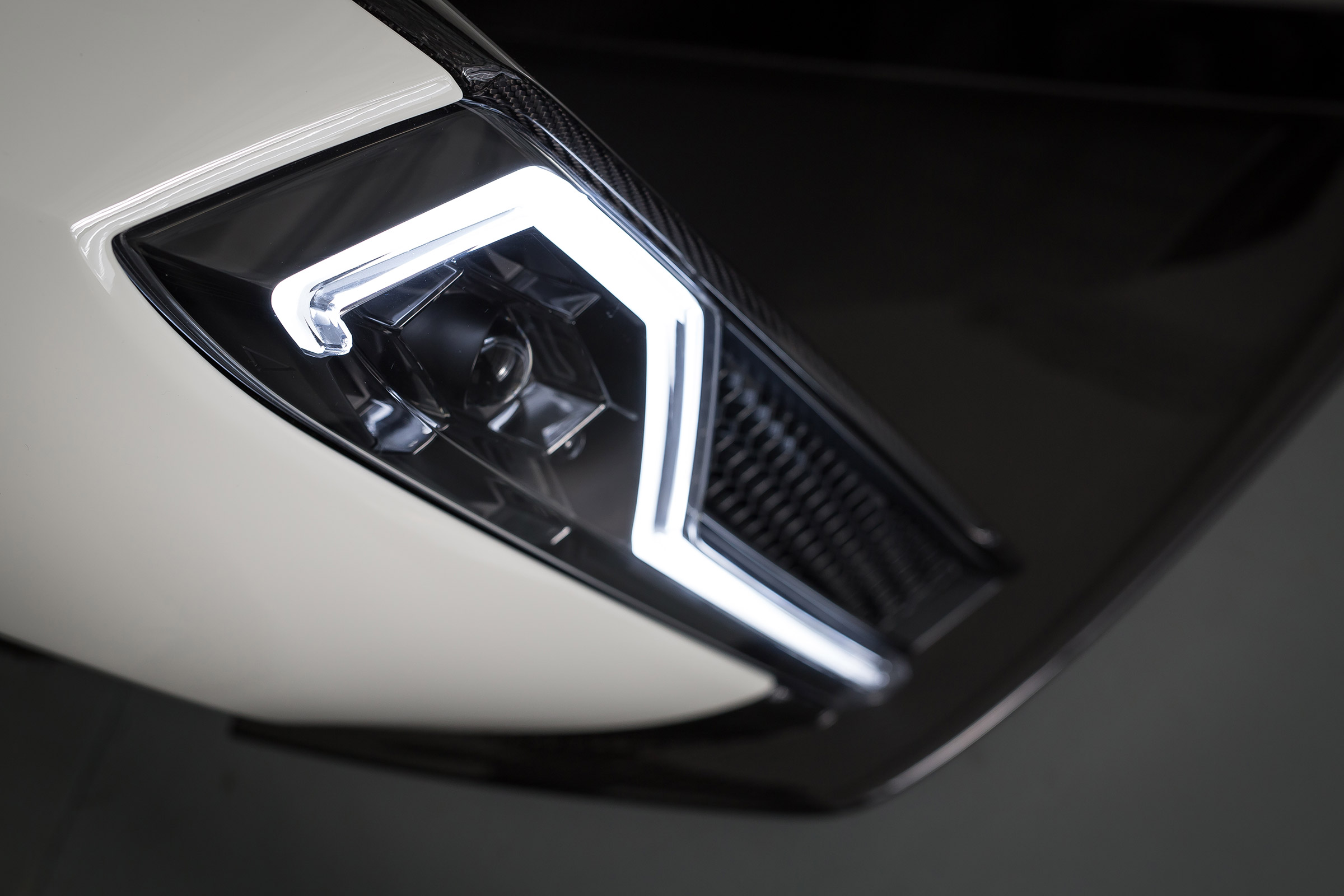 Dendrobium teaser - light detail