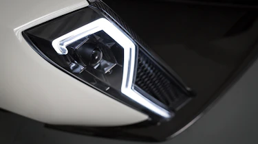Dendrobium teaser - light detail