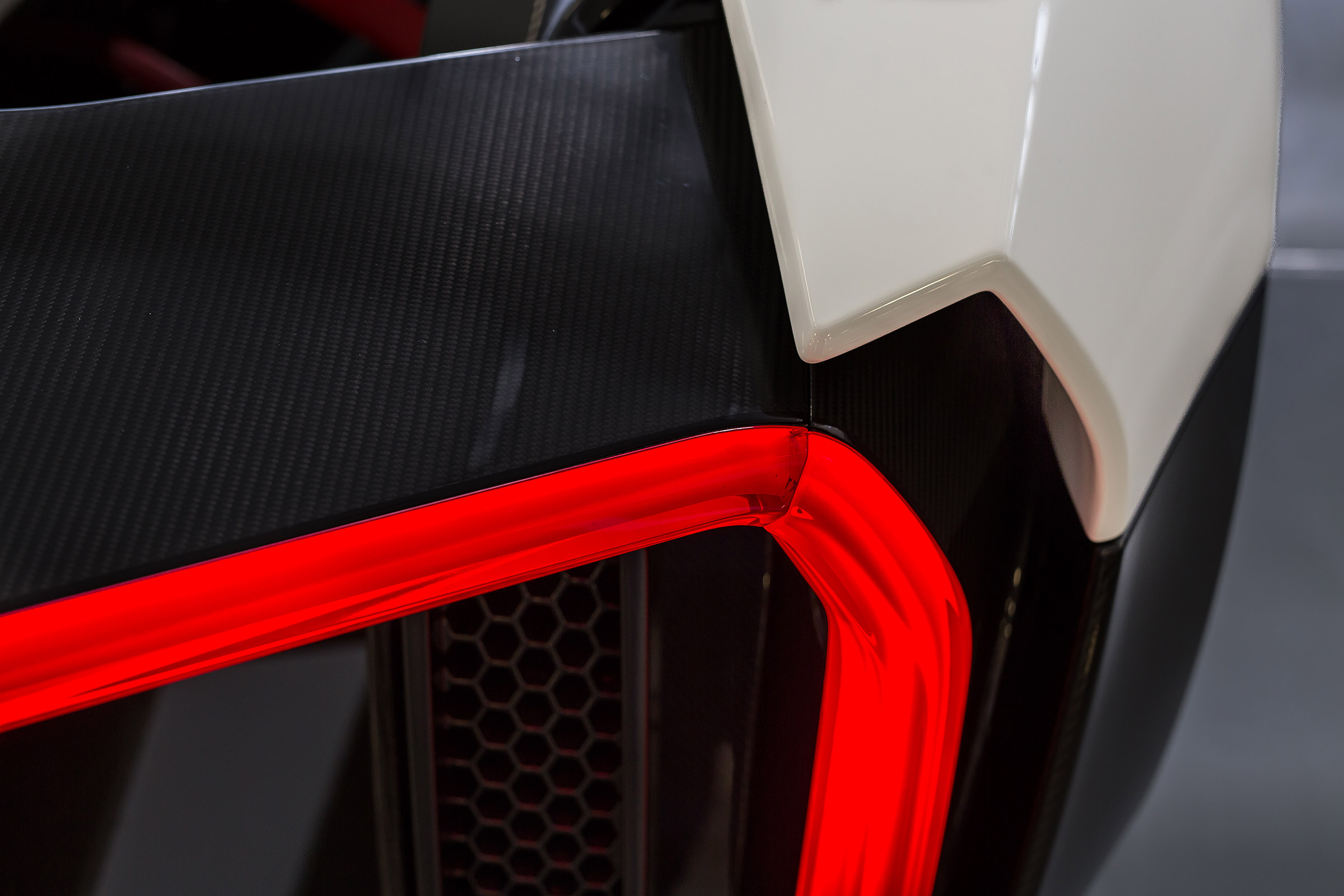 Dendrobium teaser - light