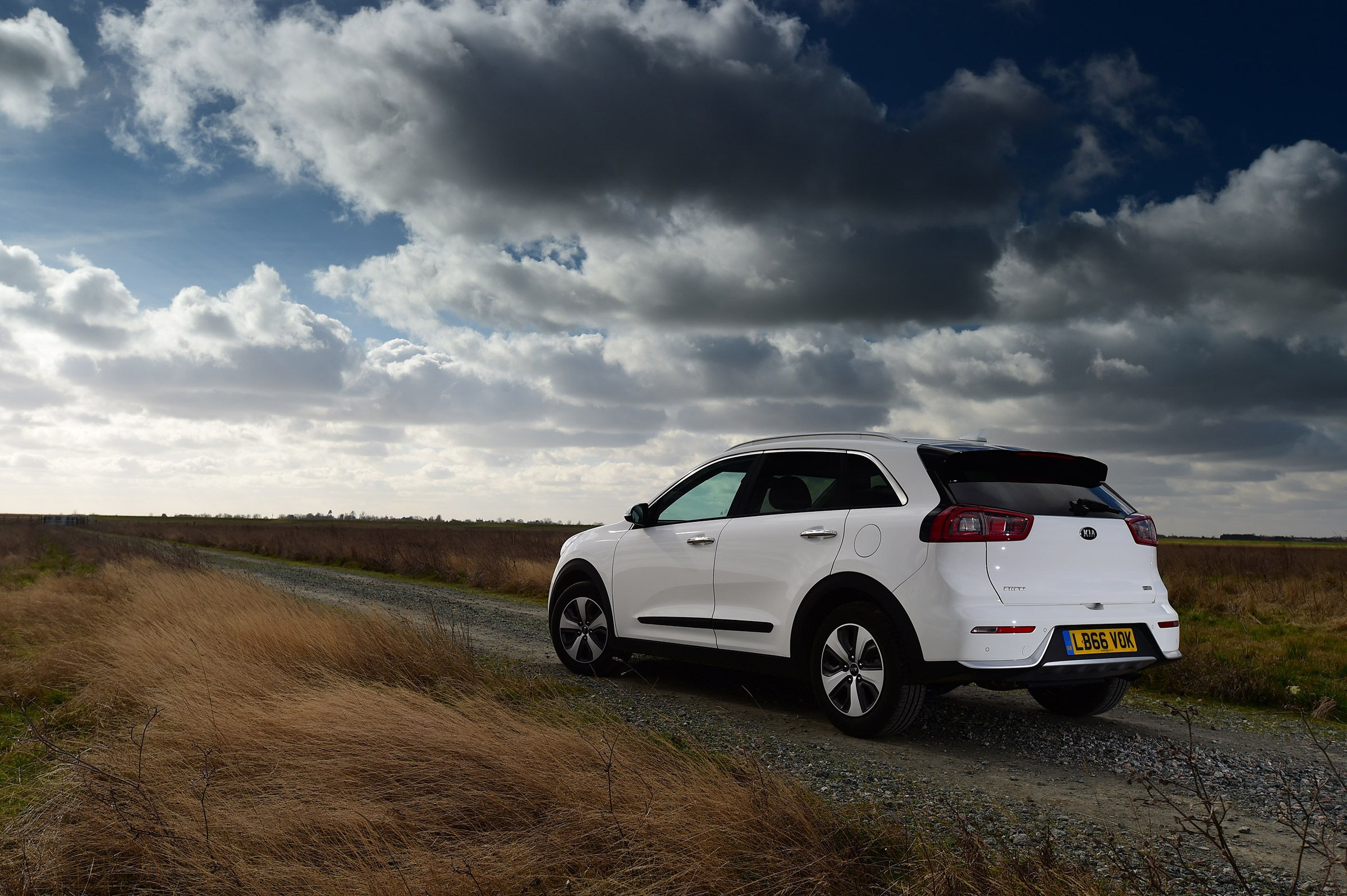 Kia Niro long-term - rear