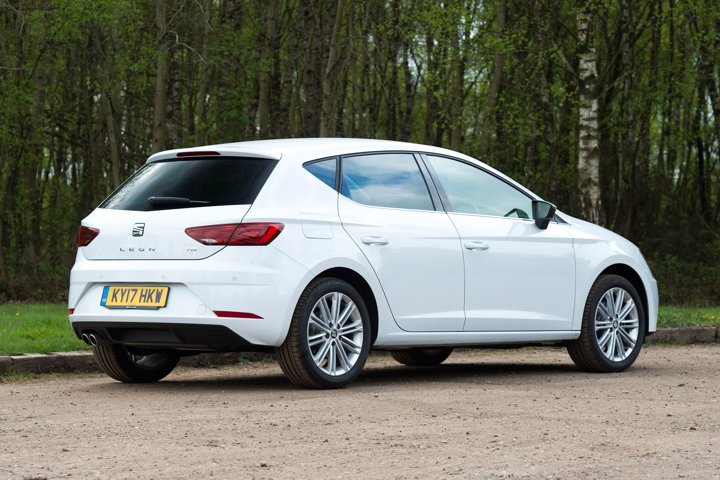 SEAT Leon - rear static
