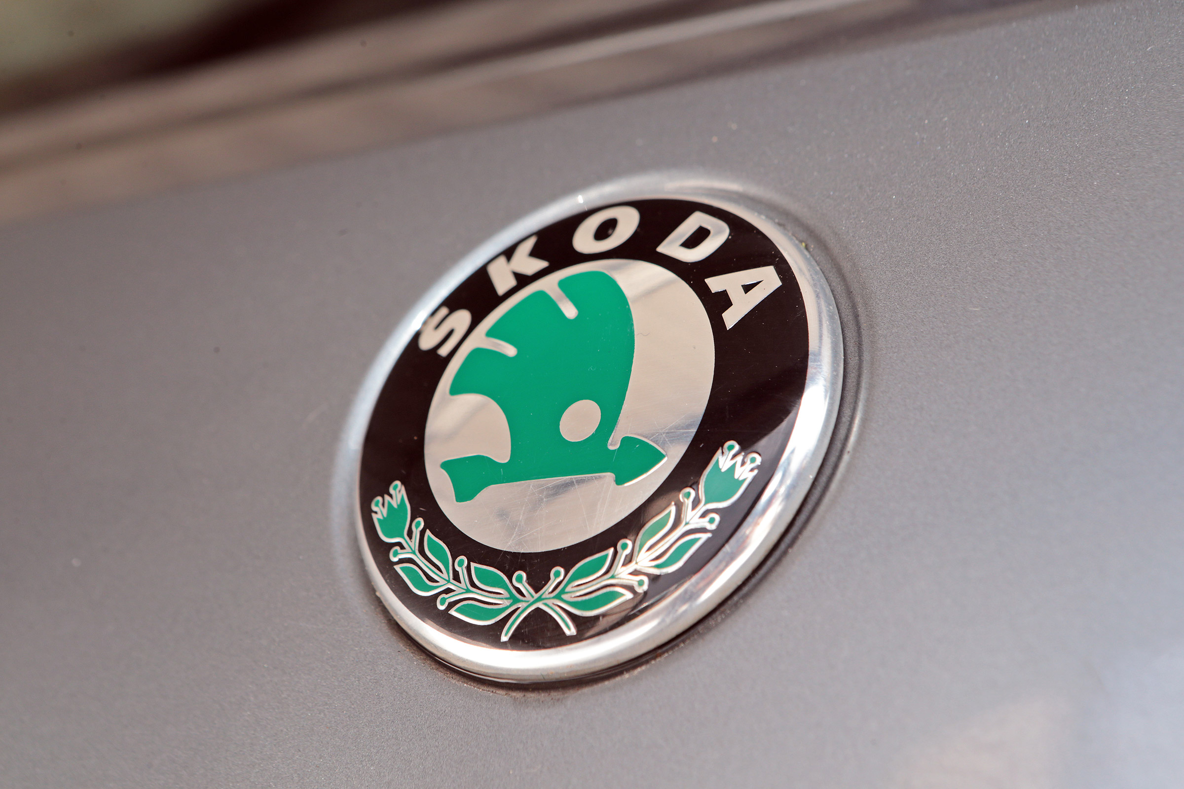 Used Skoda Fabia - Skoda badge
