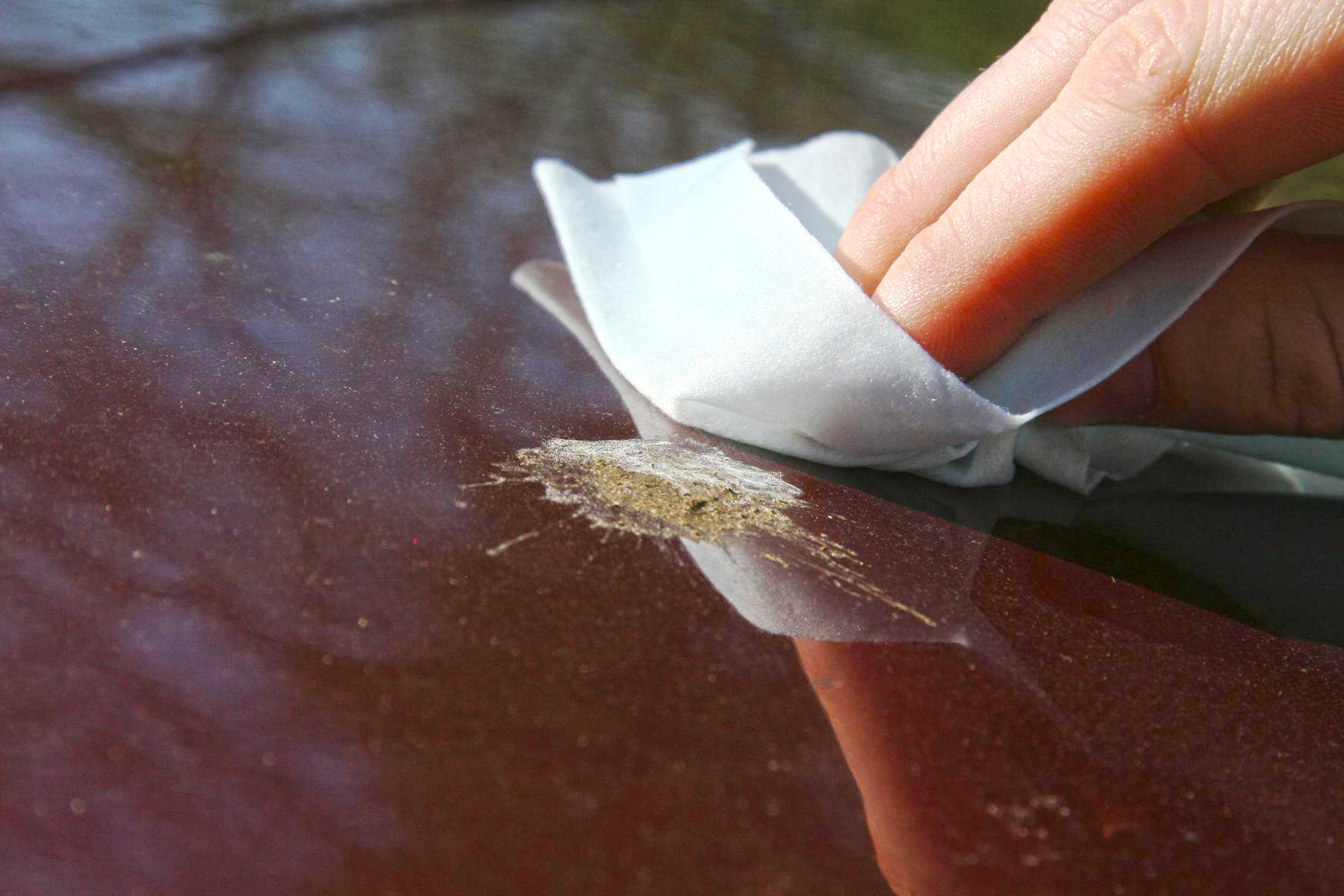 Wiping bird poo off of paintwork