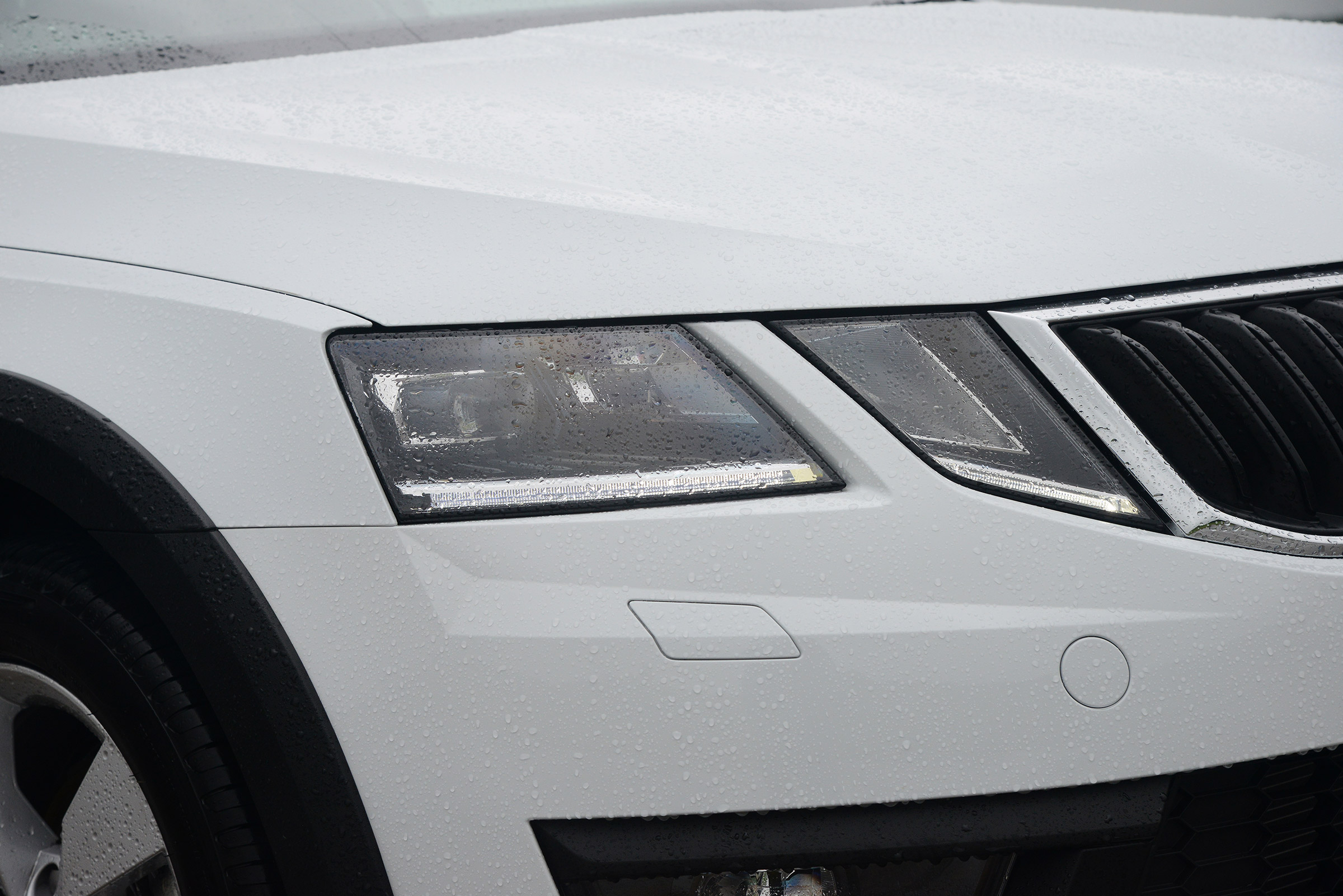 Skoda Octavia Scout - front light