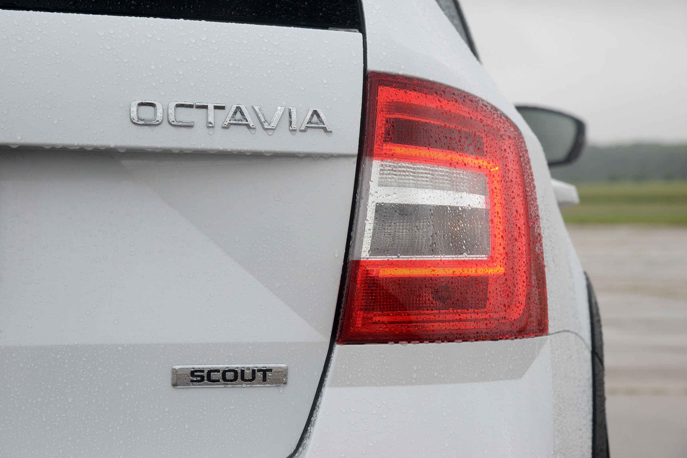 Skoda Octavia Scout - Octavia Scout badge