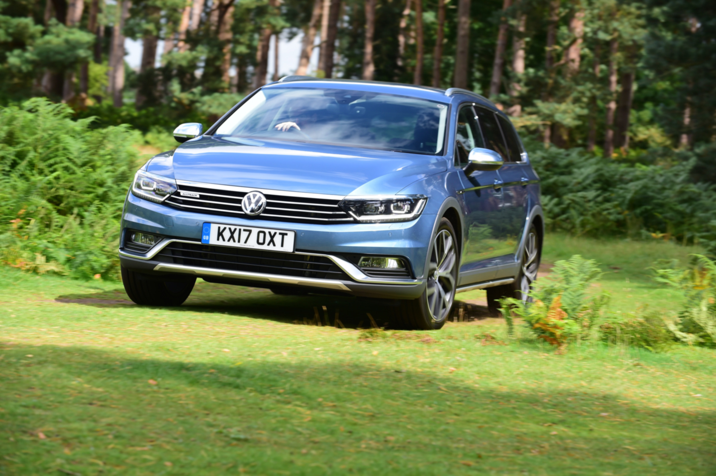 Volkswagen Passat Alltrack - grass