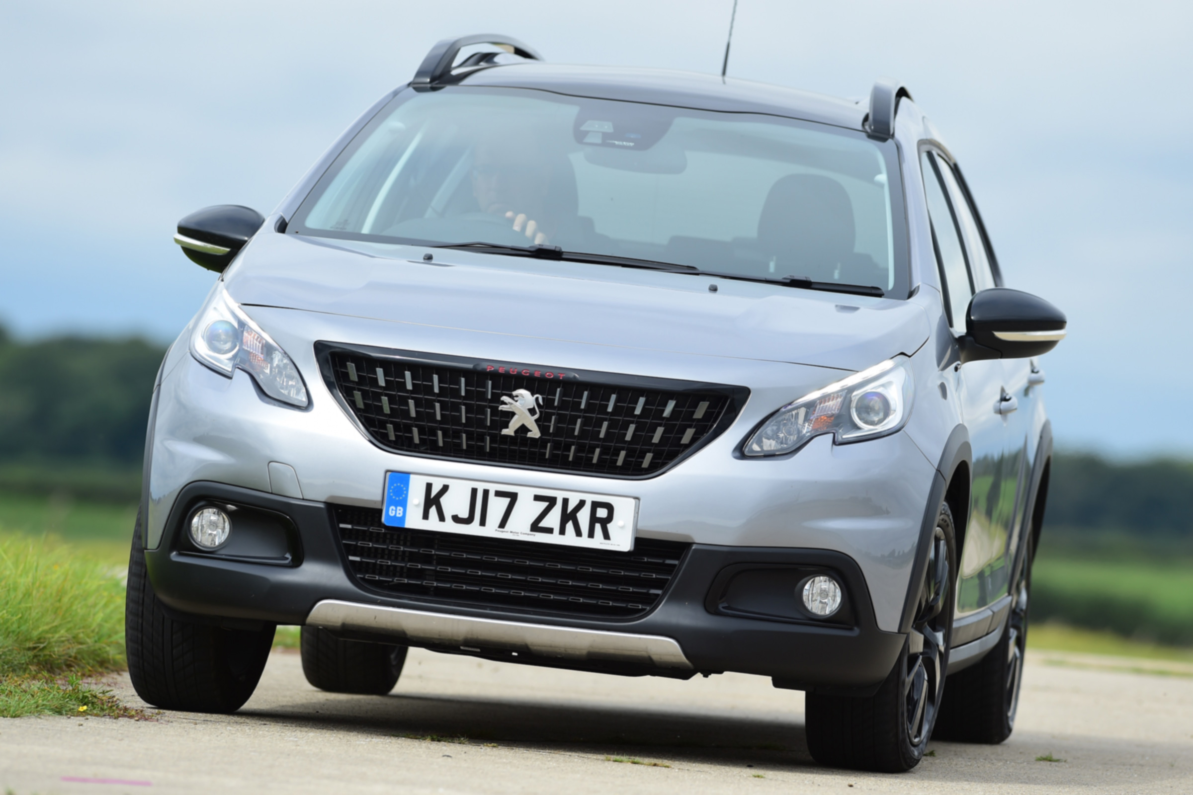Peugeot 2008 - front grille