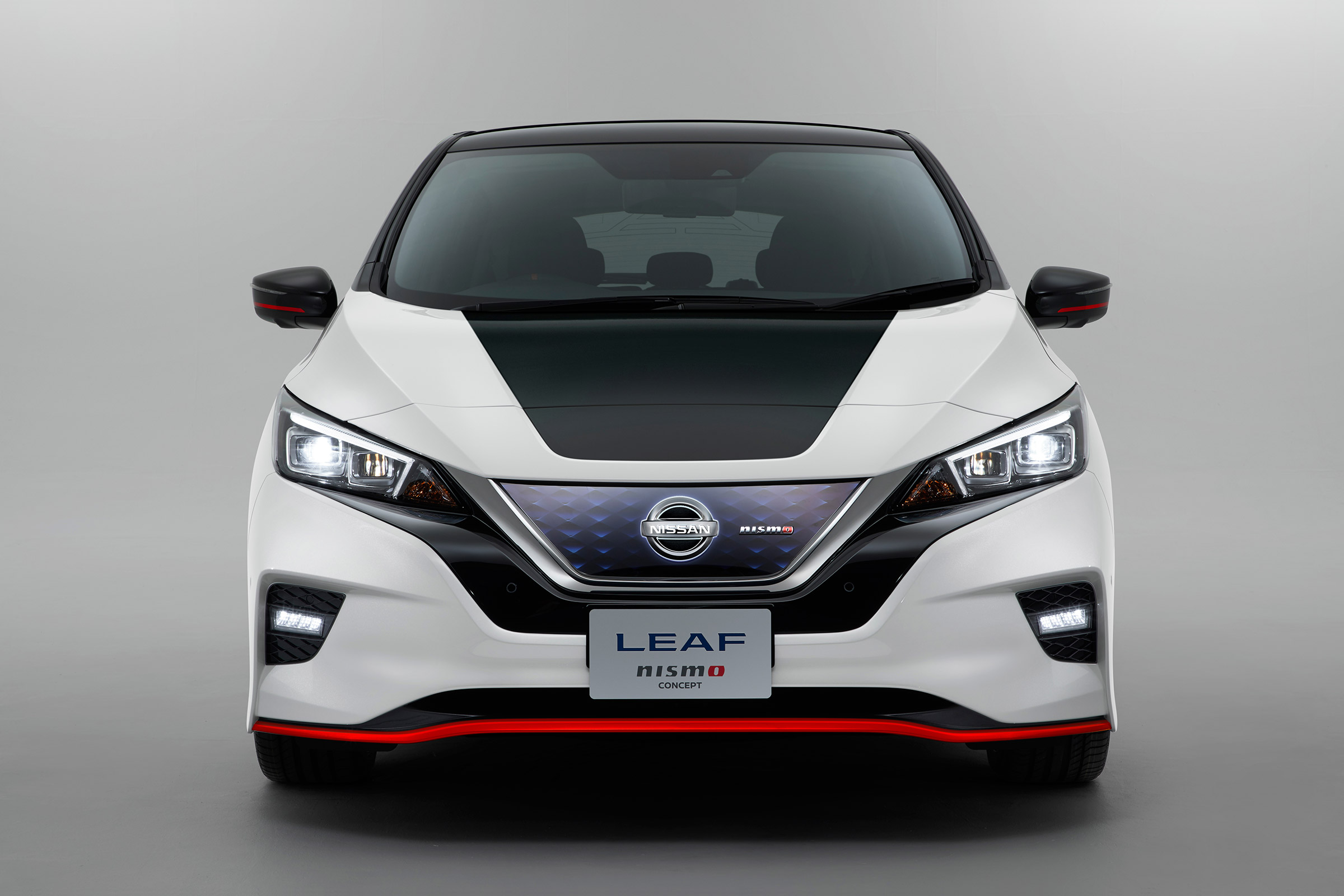 Nismo Leaf 4