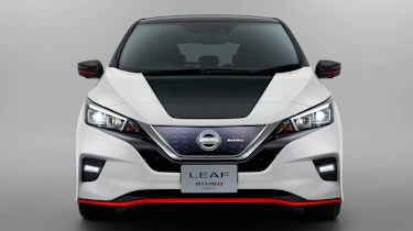 Nismo Leaf 4