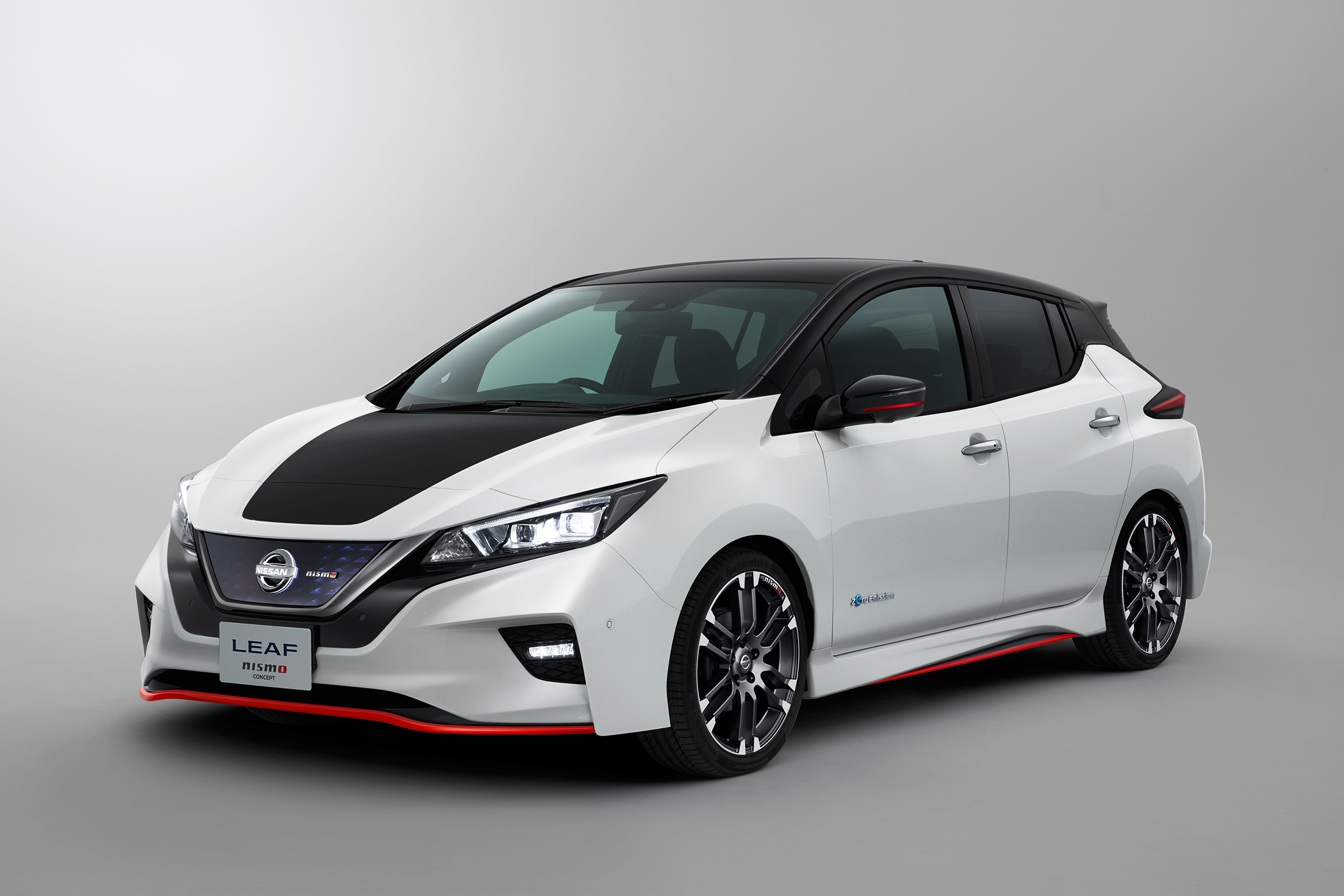 Nismo Leaf 1